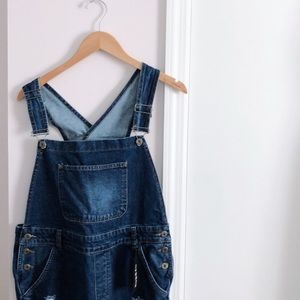 Distressed Overalls
